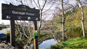 Big increase in visits to County Derry beauty spot