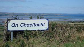Council restore language bursaries