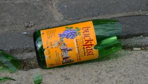 Larne man threw Buckfast bottle at police in Magherafelt