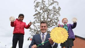 Derry young people's images of hope tied round Peace Tree