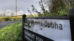 Irish signage motion branded a 'complete nonsense'
