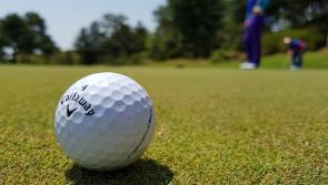 Man who was hit on head with golf ball loses high court action 