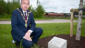 Tree of remembrance planted in memory of those from Derry who lost their lives to Covid-19