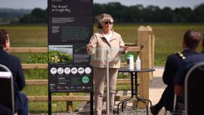 Places of importance in Derry to world-renowned poet Seamus Heaney are celebrated in new tourism project