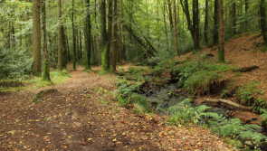 Development approved for County Derry beauty spot