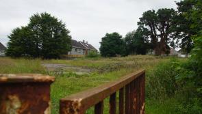 Permanent protection order to be placed on trees at contested site in Derry