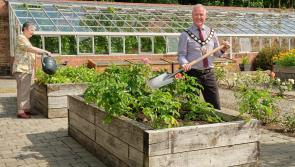 Free outdoor event to celebrate community gardens