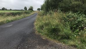 Department being 'penny-wise pound-foolish' over grass verges