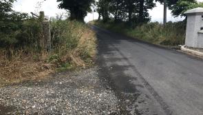 Grass verge cutting delays in Co Derry down to Covid