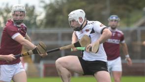 Kevin Lynch's bounce back with convincing win