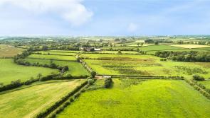 GUEST COLUMN: Council can stand up for people of Mid Ulster region