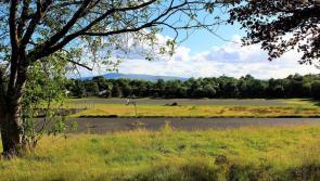 Council originally planned recreational facilities on disputed industrial  site
