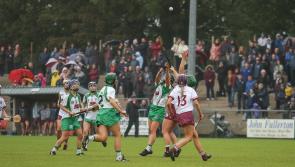 Fixtures for this week's Derry camogie championship games