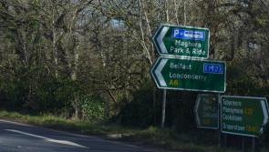 Man who drove with excess alcohol had beer and cocaine in the car