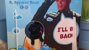 Northern Ireland’s first 24/7 self-service dog wash opens in Derry 