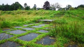 Nature's advance and the business case: Can compromise be found at Maghera High School?