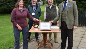 Creggan Park award is just 'Tree-mendous'