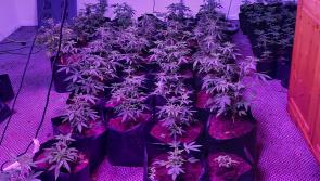 Police seize drugs worth £50,000 in County Derry