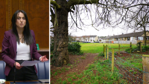 County Derry planning concerns raised at Assembly