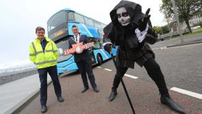 Translink to run special shuttle bus service this Halloween 