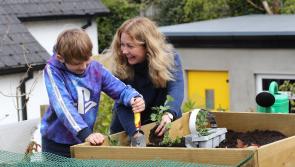 Local family win My NI Climate Heroes competition  