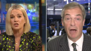 'You haven't got a clue' - Presenter loses cool with former British MEP on Irish history