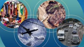 Council organises climate action events as COP26 is underway 