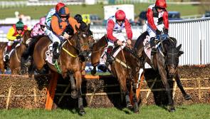 Cheltenham winners to take centre stage at Naas this weekend 