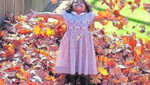 Me & You: Autumn leaves are falling down