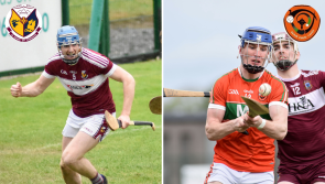 PREVIEW: A battle in prospect in intermediate hurling decider