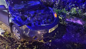 Motorist lucky to walk away after tree falls on car in Derry