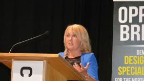 Ferguson: Protocol is a boost for North's economy