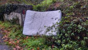 'Illegal dumping is a blight on our community'