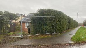 Car crashes into Derry garden as Duffy calls for more safety measures at Lenamore Road