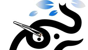 Earseeds Therapy Clinic providing pain relief to Derry
