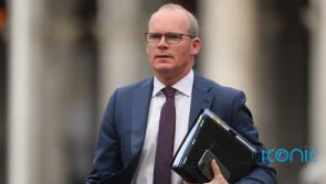 'It provides reassurance' - Brexit medicine row resolution welcomed by Coveney 