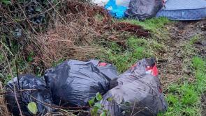 Christmas rubbish causes spate of fly-tipping in Creggan area 