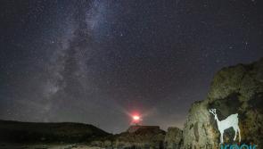 Astronomers close to revealing properties of Dark Matter