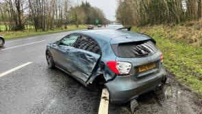 Woman appeals for witnesses to hit-and-run on busy County Derry road to come forward