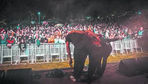 700 up for home grown acts at Stendhal Festival
