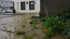 Council grass cutting and weeding 'the worst in a long time'