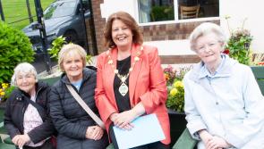 IN PICTURES: Féile 23 House in the Wells annual Barbecue