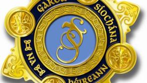 Garda&iacute; say human remains found on Donegal beach are linked to 'active missing person investigation'