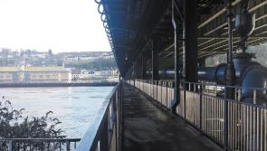 Pigeons poo causing a health hazard on Derry bridge, says local MLA