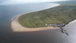 Potentially toxic algae confirmed at Magilligan Point beach