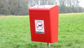 Washing facilities to be installed at some Derry parks for people who fall foul of dog waste