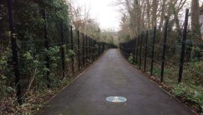 Lowry's Lane in Derry to be reopened this afternoon