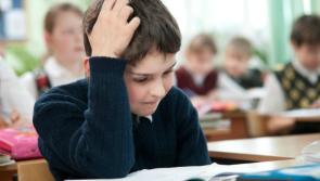 Transfer tests for primary 7 pupils have been postponed until January 2021