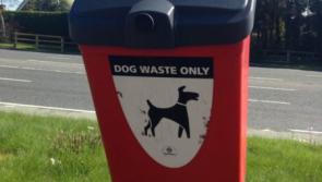 Furloughed employees at Derry's council to be brought back to work to help out on dog-fouling patrols