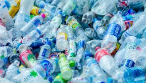 Foyle MLA urges action on single-use plastics ban 